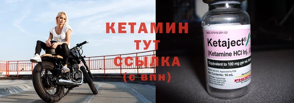 гашик Няндома