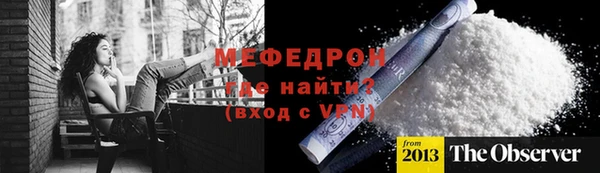 гашик Няндома