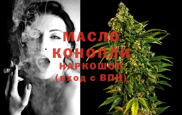 гашик Няндома