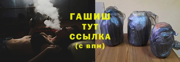 гашик Няндома