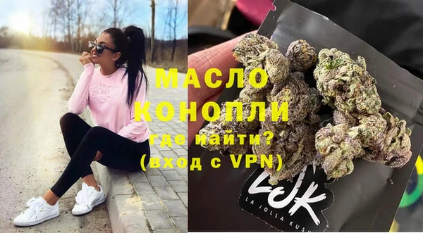 гашик Няндома