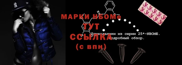 гидра Нязепетровск