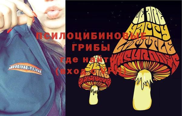 гашик Няндома