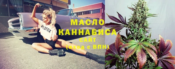 гашик Няндома