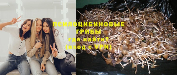 ALPHA-PVP Нягань