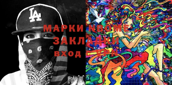 гашик Няндома