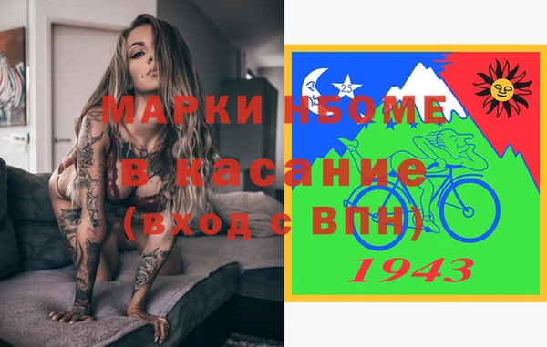 гашик Няндома