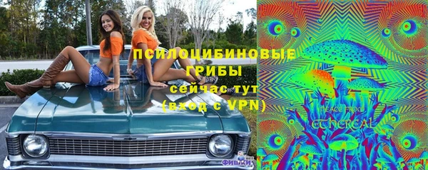 гидра Нязепетровск