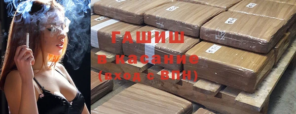 гашик Няндома