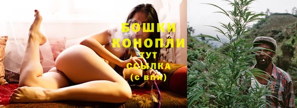 гидра Нязепетровск