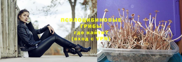 ALPHA-PVP Нягань