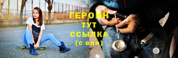 гашик Няндома