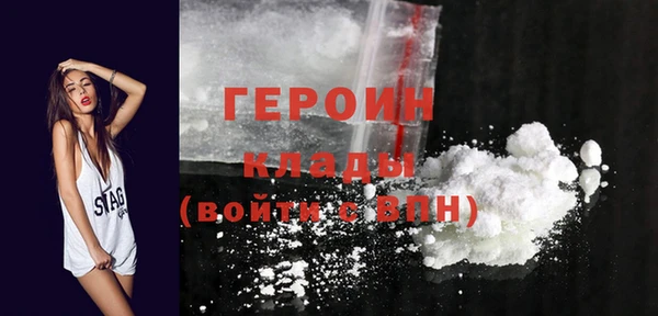 гашик Няндома